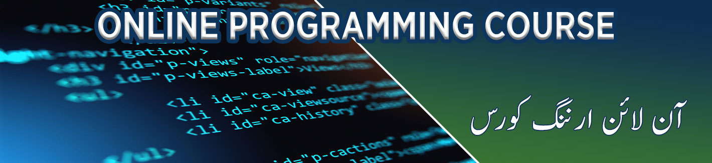 online programming course Pakistan