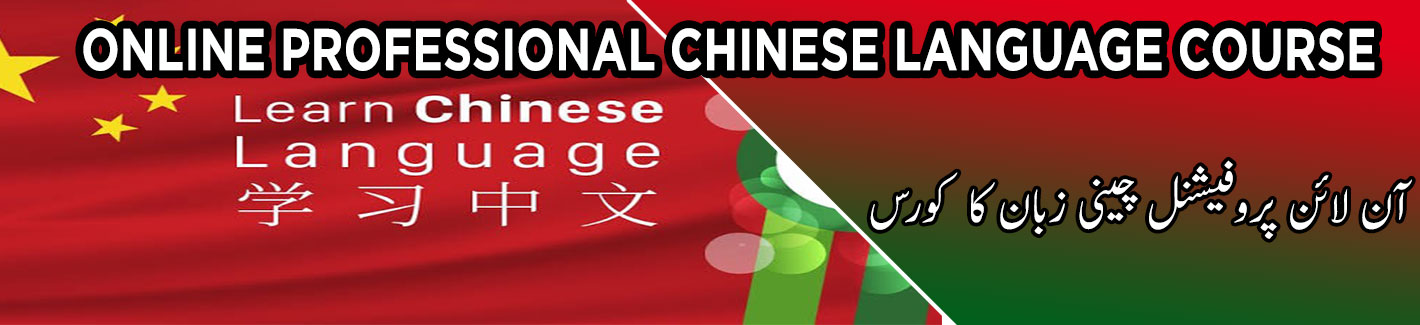 onlien professional chinese language course