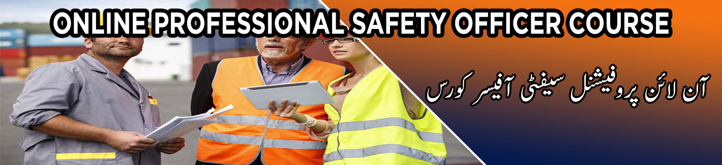 online professional safety officer course