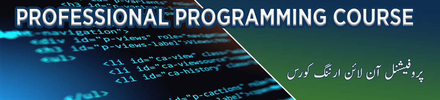 professional programming course multan
